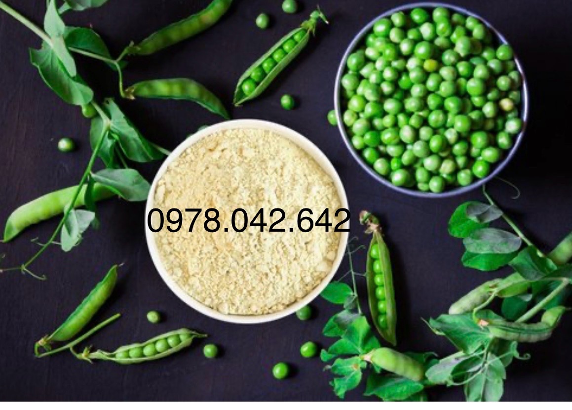 Đạm đậu Hà lan- Pea Protein