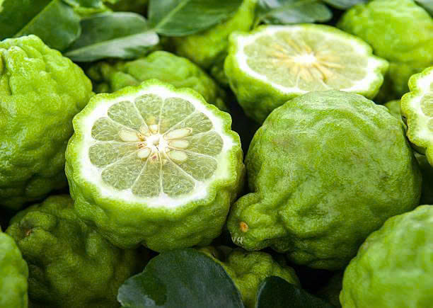 HƯƠNG BERGAMOT