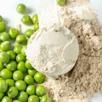 Protein đậu (pea protein) - loại protein thực vật giúp tăng cường cơ bắp, cân bằng đường huyết và nhiều hơn nữa